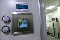 ؓ������-�t(y��)Ժ��������